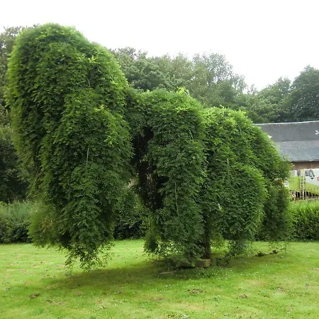 Type F1 Daire Beauquesne