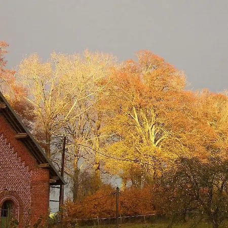 Type F1 * Beauquesne